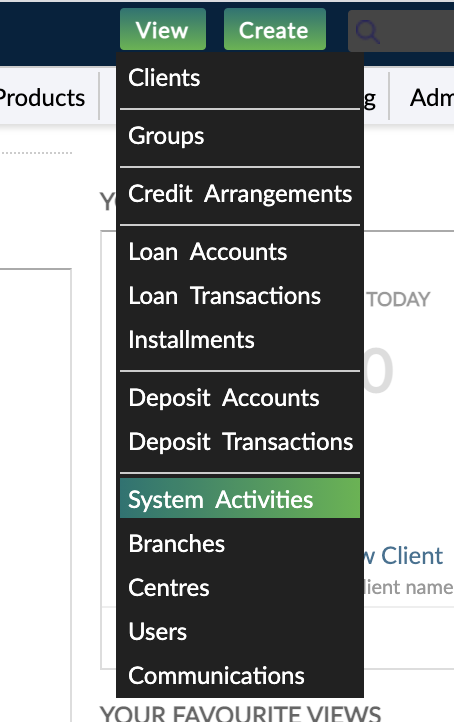 temporary custom views for activities accessible through view menu
